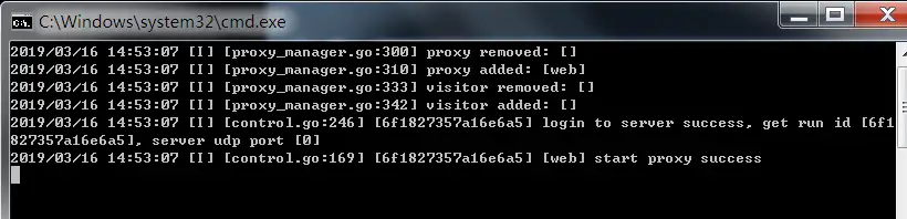 启动 frp 客户端